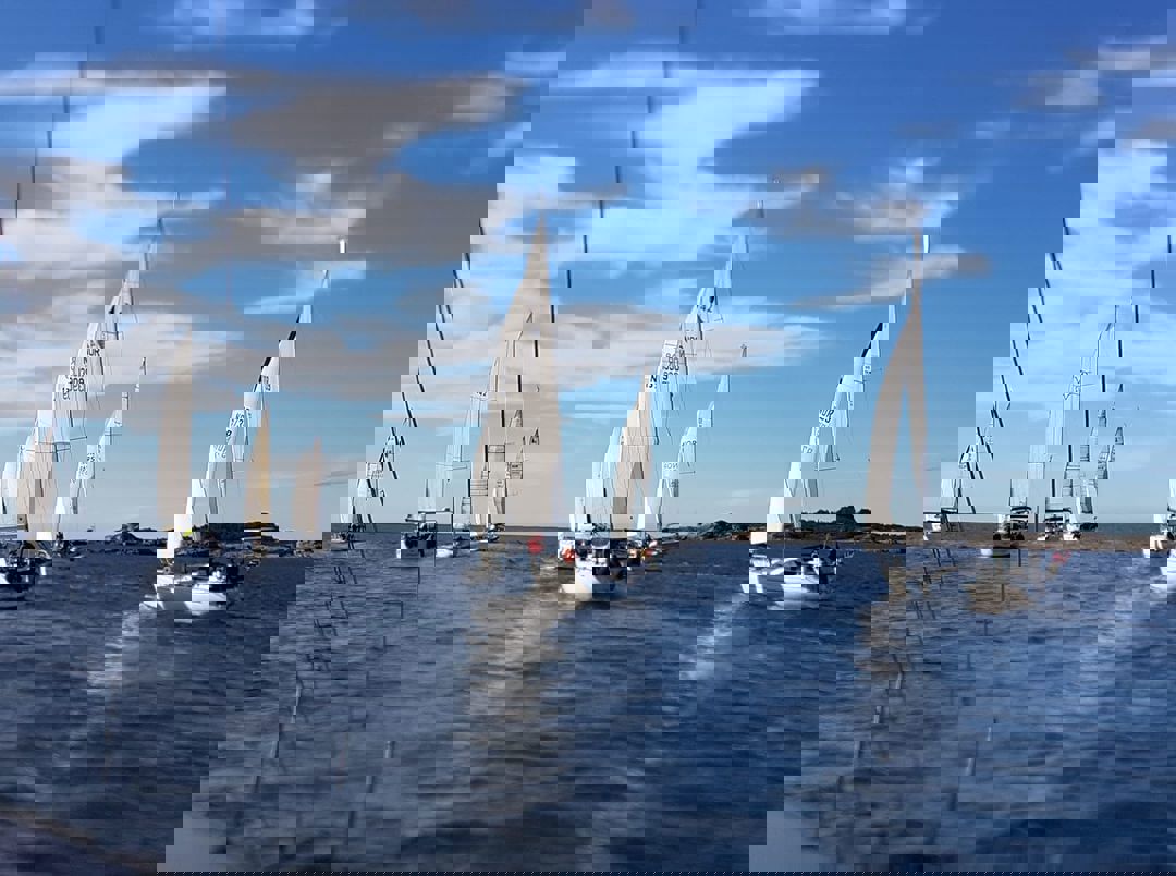 Regattaer i indre Oslofjord på forsommeren